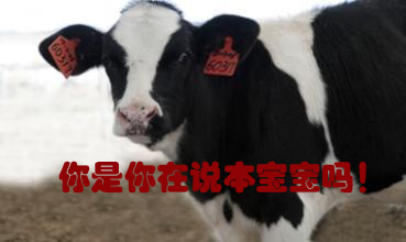 關(guān)我什么事！
