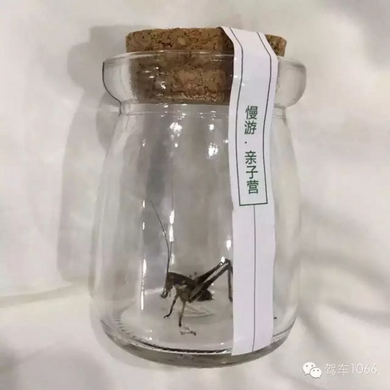 看看我的成果吧！