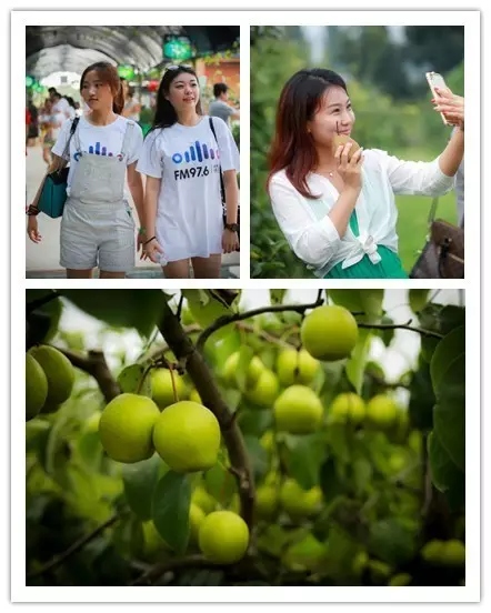 美女與香梨，你更愛(ài)哪一個(gè)？！