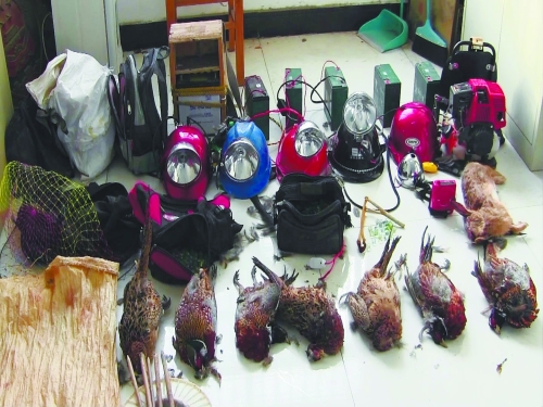 森林警方查獲的部分播放機(jī)、礦燈和獵殺的野生動(dòng)物等