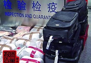 不少所謂“神戶”牛肉根本未經(jīng)檢疫。