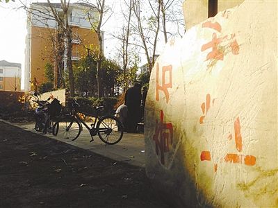 昨日，“上海奇石盆景博物館”原址上，已矗立起小區(qū)樓盤，而刻著博物館名的巨石，廢棄在一旁。本版圖片/新京報(bào)記者 張永生 攝