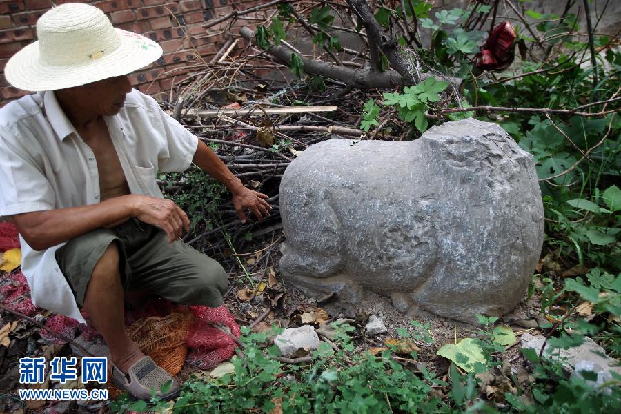 朝陽鎮(zhèn)后李村業(yè)余文保隊員，今年65歲的李連堂在上世紀平整土地時候，從地里挖出一個石羊殘身，至今仍放在