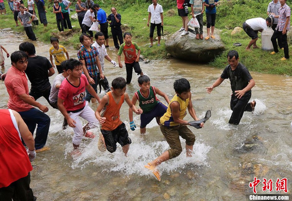 7月9日，村民在小河里摸魚搶魚。譚凱興 攝