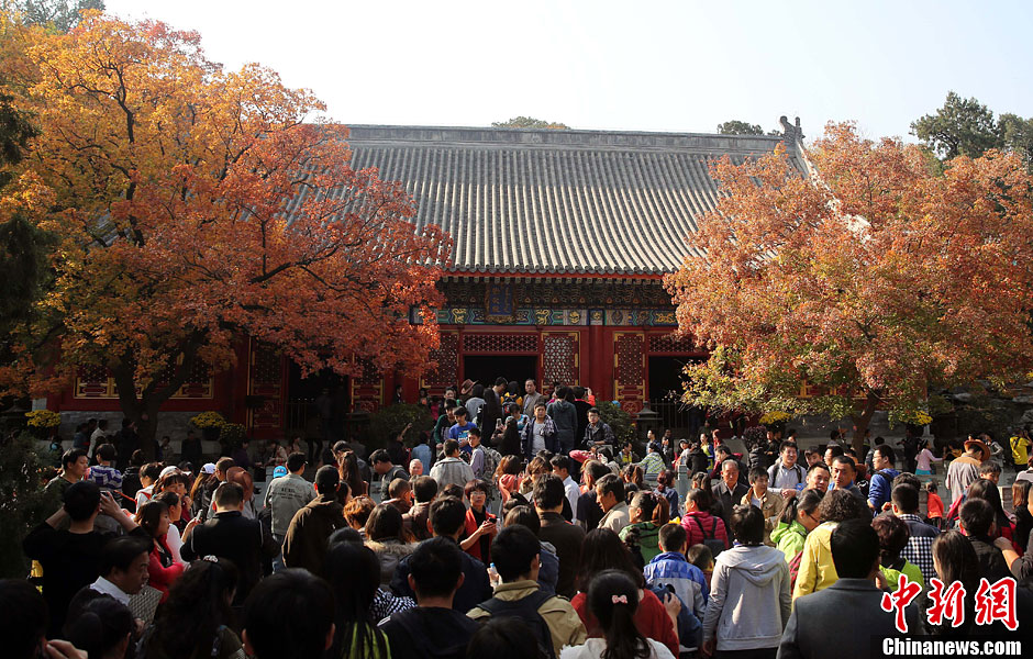 　10月26日，北京香山公園內(nèi)游客摩肩接踵。