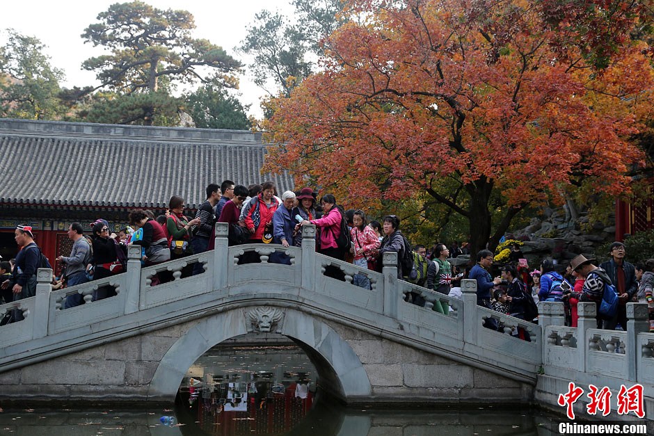 　10月26日，北京香山公園內(nèi)游客摩肩接踵。