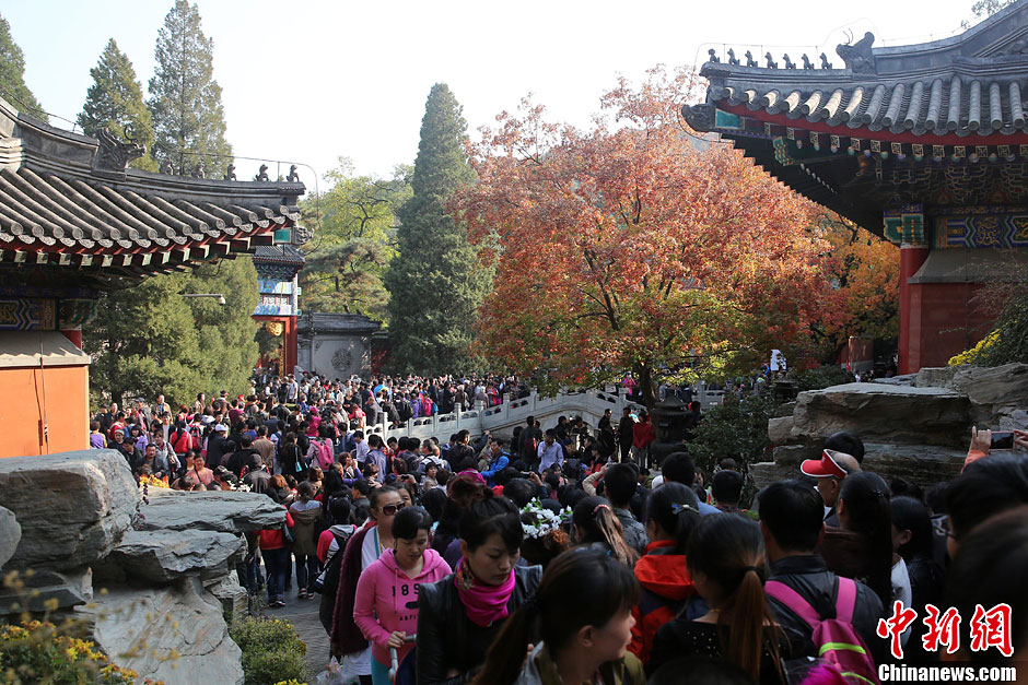　10月26日，北京香山公園內(nèi)游客摩肩接踵。