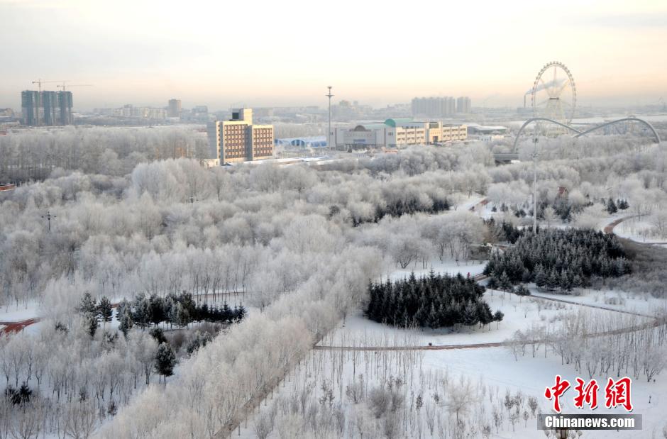 12月10日,受降溫天氣影響,黑河市黑龍江江畔出現(xiàn)綿延數(shù)公里的霧凇景觀。