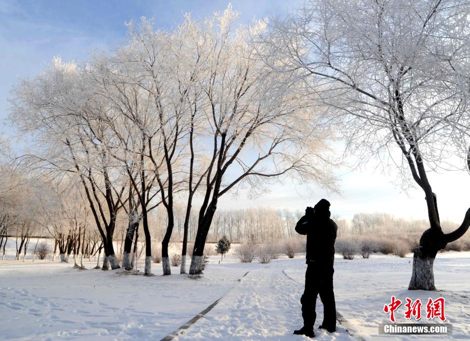 12月10日,受降溫天氣影響,黑河市黑龍江江畔出現(xiàn)綿延數(shù)公里的霧凇景觀。