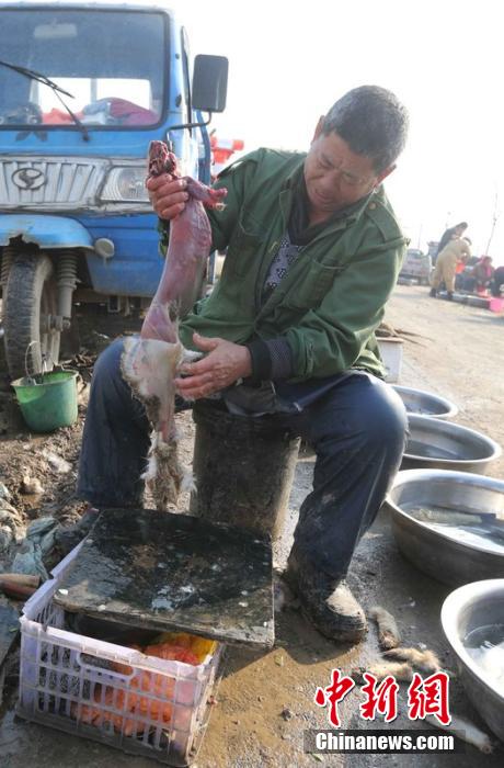 圖為12月1日，104國道靜海縣城附近，顧客挑好后，商販拎著死兔將皮完整地扒下來。田寶希 攝 圖片來