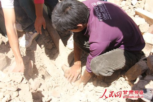 小黃狗露出了鼻子。王生元/攝