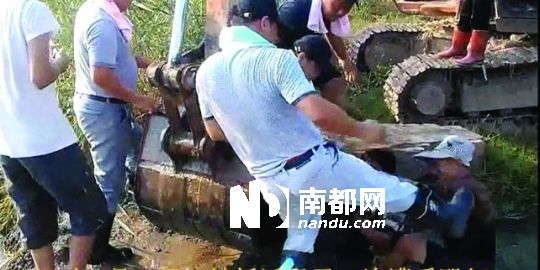 幾名戴黑帽的男子將一名老人推入水塘，后反復(fù)腳踹。