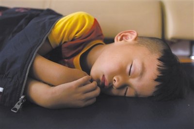 9月6日，等待錄制節(jié)目的多多躺在沙發(fā)上熟睡。新京報(bào)記者 侯少卿 攝