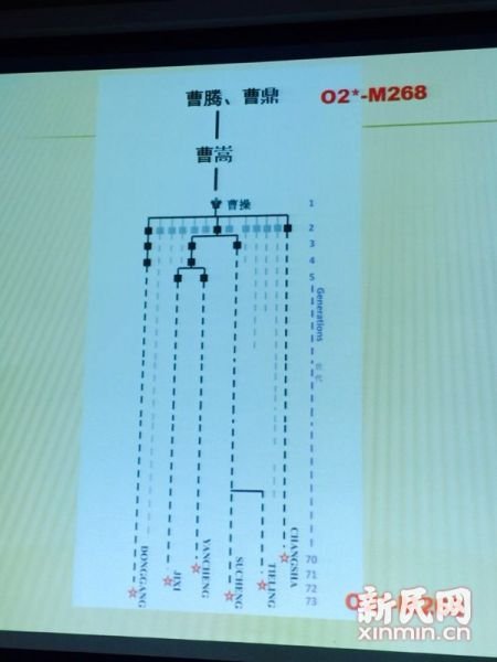 圖說(shuō)：復(fù)旦課題組發(fā)布曹操家族DNA研究結(jié)果。新民網(wǎng) 記者 李欣 攝