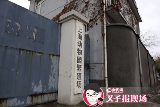 圖說(shuō)：新民網(wǎng)記者趕到時(shí)，上海動(dòng)物園繁殖場(chǎng)大門緊閉。新民網(wǎng) 記者 蕭君瑋 攝