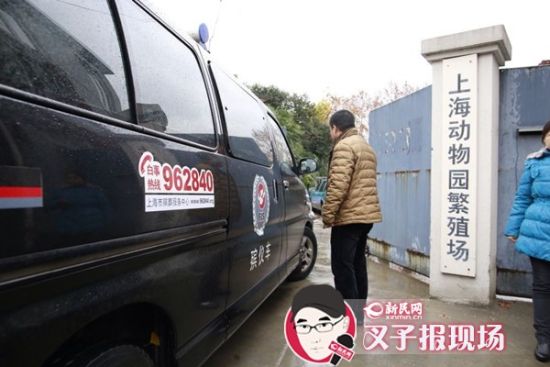 殯葬車到達(dá)現(xiàn)場(chǎng)。新民網(wǎng) 記者 蕭君瑋 攝
