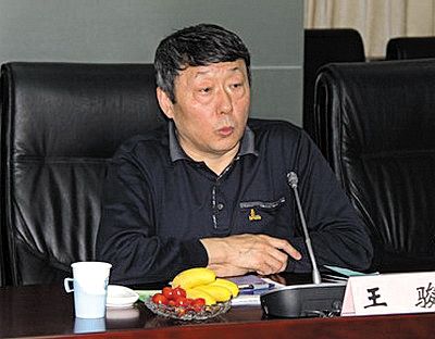 國(guó)家能源局新能源和可再生能源司司長(zhǎng)王駿。