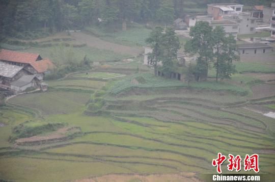 貴州發(fā)現(xiàn)疑似“飛虎隊”墜機(jī)遺址(圖)