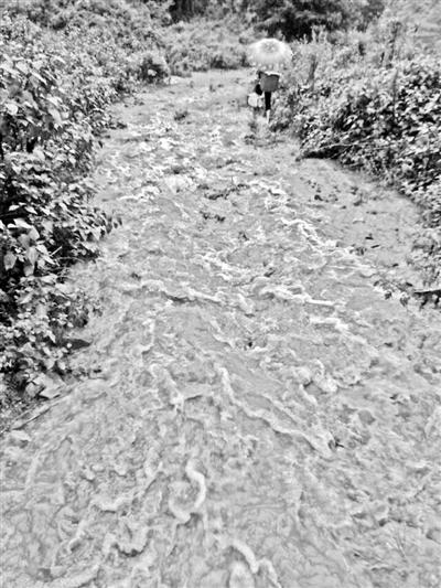 梅子回家的山道，晴天是路，雨天是河