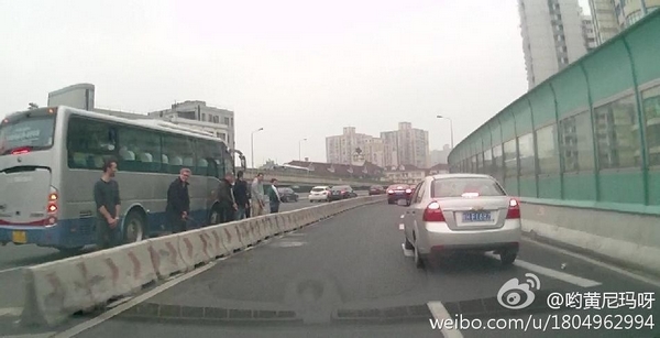 圖說:網(wǎng)友發(fā)布的老外在高架上行為不雅的照片。