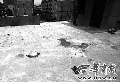 藏獒就養(yǎng)在這個(gè)樓頂，孩子從欄桿處墜落 本報(bào)記者 趙航 攝