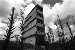 這幢5層的“片片樓”周圍已是一片拆遷后的廢墟，左邊的一堵墻上，不少鋼筋裸露在外面 圖片來源：新華網(wǎng)