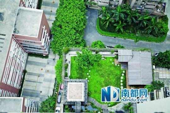 中旅商務(wù)大廈的“空中花園”。