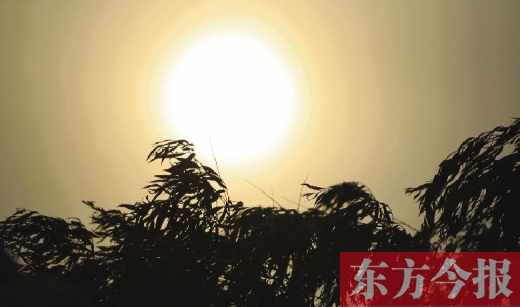 五月十四日，傍晚時分，鄭州的天空再次被沙塵遮蓋