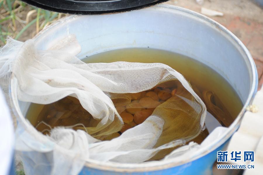 地下水成“綠茶”　污染二十多年該誰治？