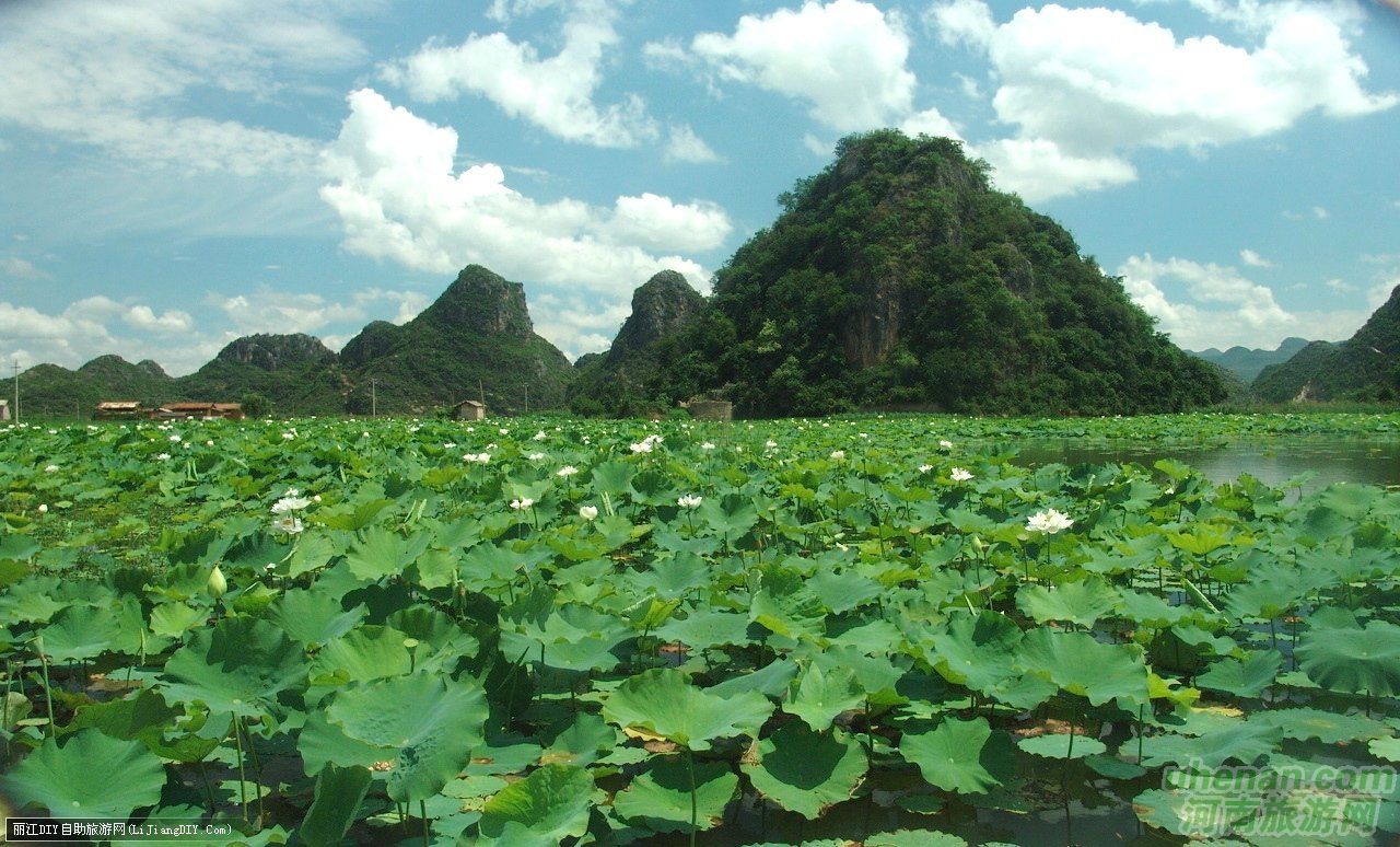爸爸去哪兒？親密接觸荷花仙子