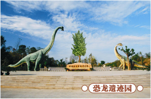 圣誕去哪兒？省內(nèi)歡樂(lè)地推薦