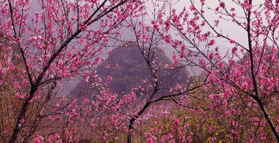 撿垃圾換玫瑰 女人節(jié) 愛在神農(nóng)山！