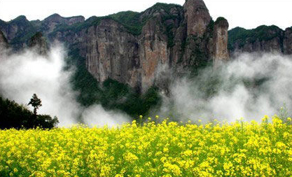 “五一”小長(zhǎng)假怎么玩? 尋幽訪(fǎng)古 賞花看海(圖)