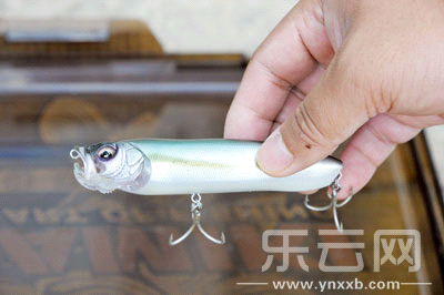 　　又稱擬餌釣魚,起源于歐洲,國內(nèi)翻譯為“路亞”。