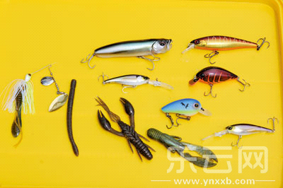 　　又稱擬餌釣魚,起源于歐洲,國內(nèi)翻譯為“路亞”。