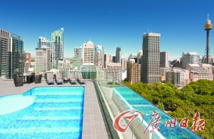 酒店屋頂游泳池俯瞰公園美景。
