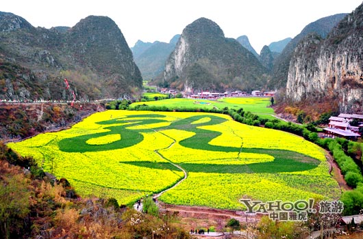 　　貴州油菜花景自以“立體多層,起伏跌宕”的油菜花景觀著稱。(圖片來源:CFP)