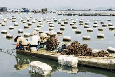 以漁為生，造就了他們不同于內(nèi)地的口味