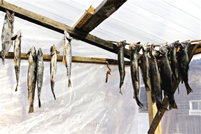 長白山腳下一家小餐館內(nèi)晾曬的冷水魚。