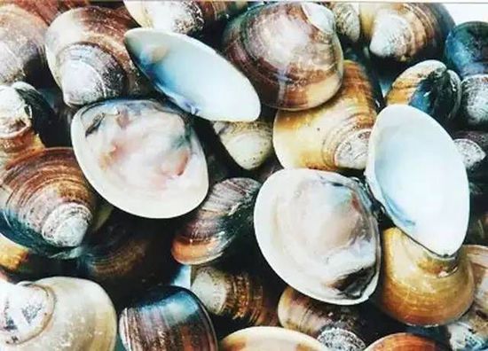 秋季最適合吃的海鮮是這10種 你吃對(duì)了嗎？