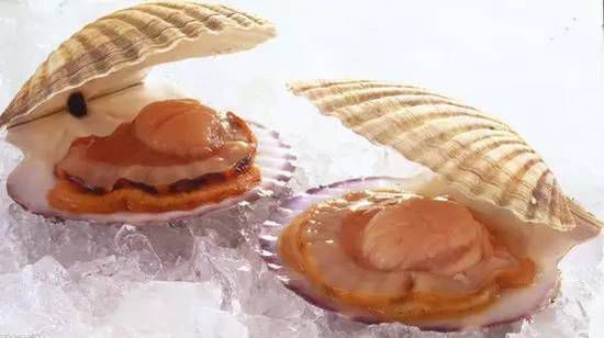 秋季最適合吃的海鮮是這10種 你吃對(duì)了嗎？