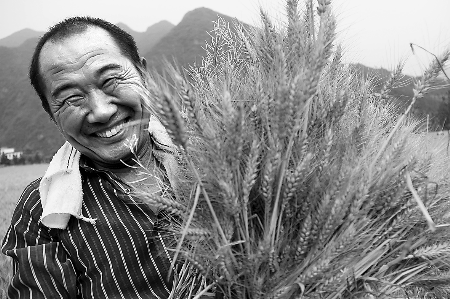 5月26日，西峽縣雙龍鎮(zhèn)小水村農民懷抱籽大粒飽的小麥喜笑顏開。