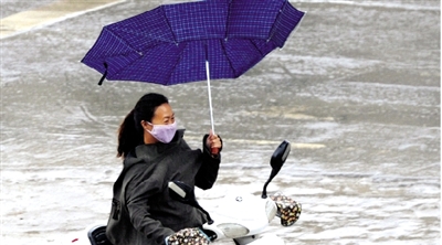 昨日下午，隴海路上，雨中風(fēng)大，一位女士的傘被吹翻了。