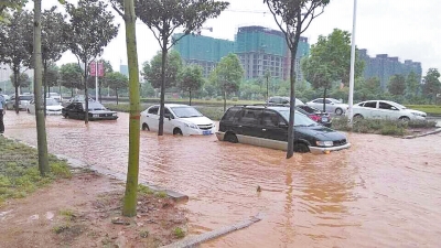 昨日，信陽突降暴雨，路面積水已淹沒輪胎。首席記者 何正權(quán) 通訊員 楊小燕 攝影