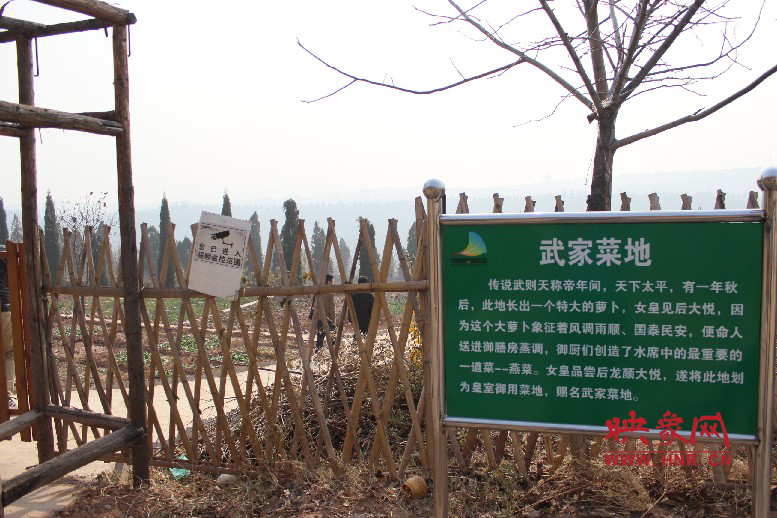 武家菜地就是這，據(jù)說里面有個(gè)特大的蘿卜