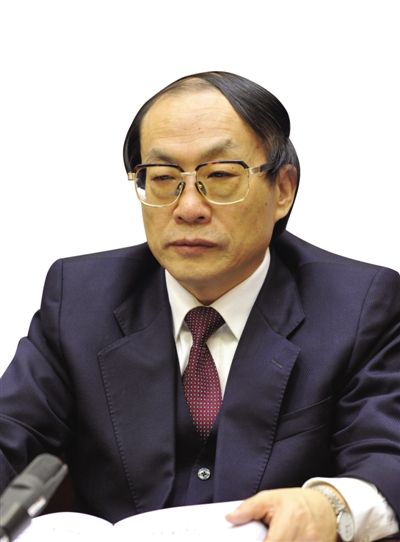劉志軍（資料圖片）。新華社發(fā)
