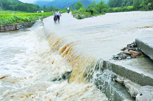 短時強降雨攜帶泥土、沙石、樹木等造成災害