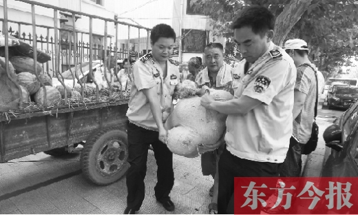 昨日，鄭州金水區(qū)執(zhí)法局的執(zhí)法隊員捐錢買瓜，替瓜農(nóng)解憂
