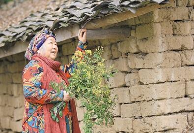 公式“時尚奶奶”的賞花照，收獲了好多人的點贊。 受訪者供圖