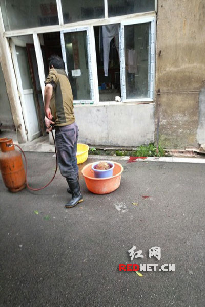 5月8日，男子在校園里殺狗，地上殘留一塊血跡。目擊者供圖。